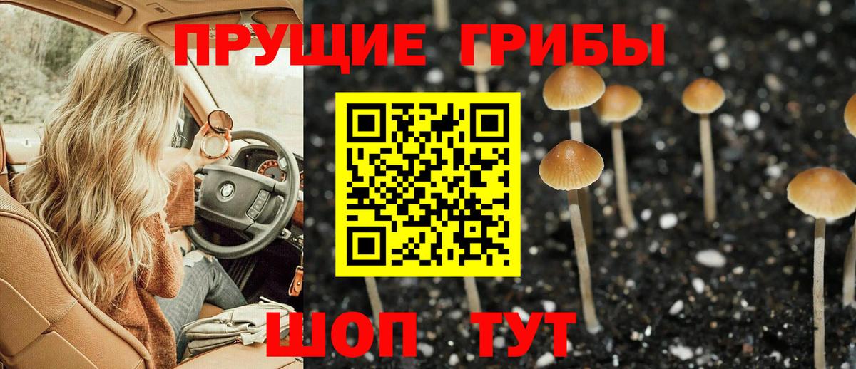 Псилоцибиновые грибы Cubensis Мирный
