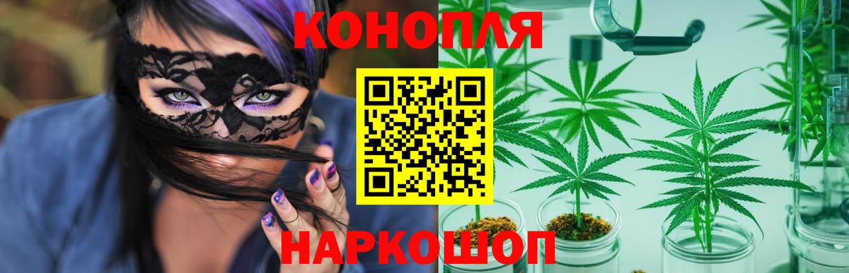 Канабис SATIVA & INDICA Мирный